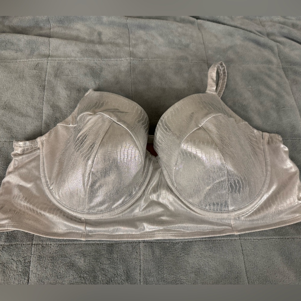 Cacique Silver Bikini Swimwear